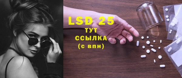 гидра Богданович