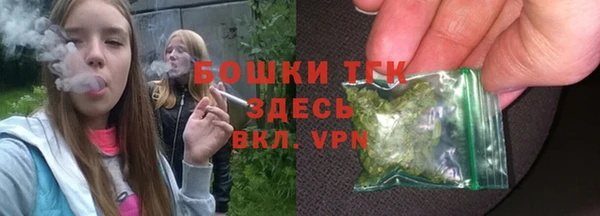 гидра Богданович