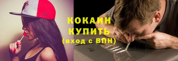 гидра Богданович