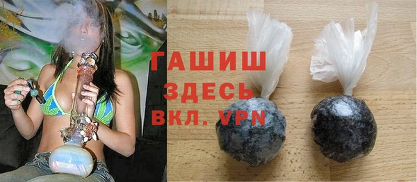 гидра Богданович