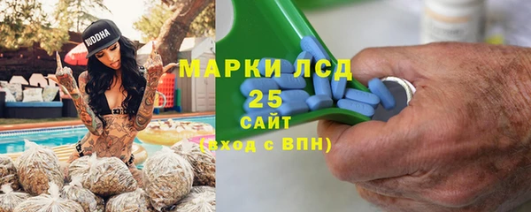 гидра Богданович