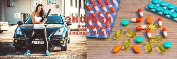 гидра Богданович