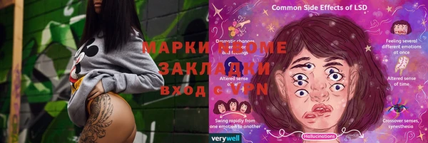 гидра Богданович
