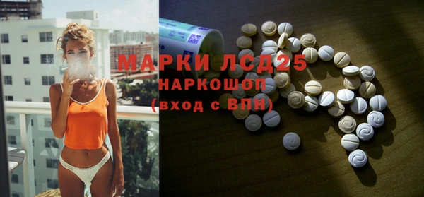 гидра Богданович