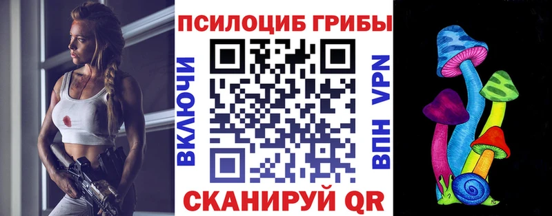 цена наркотик  Острогожск  Галлюциногенные грибы Psilocybe 